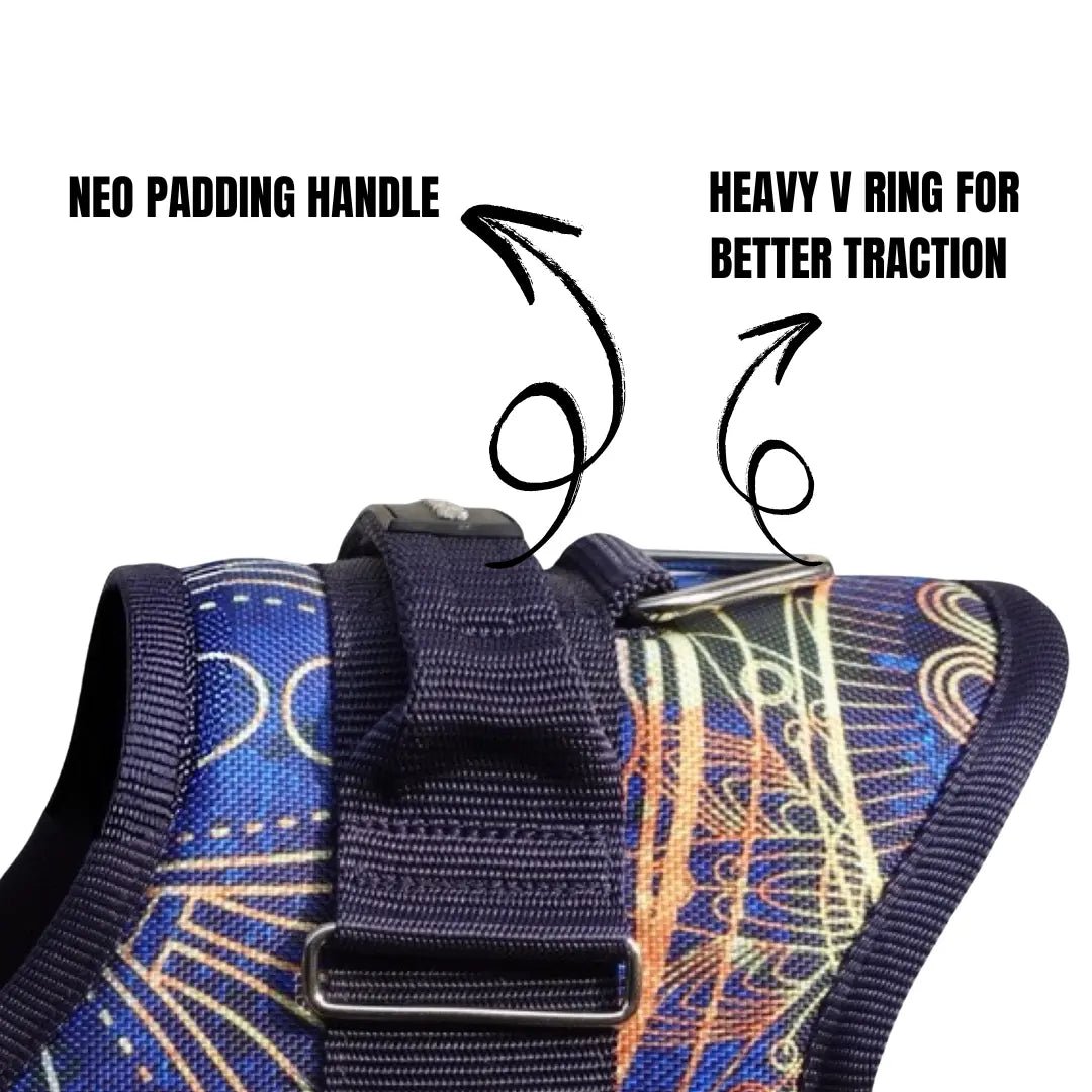 Coccopucci Comfsecure Dog Harness (Strange Wheel)