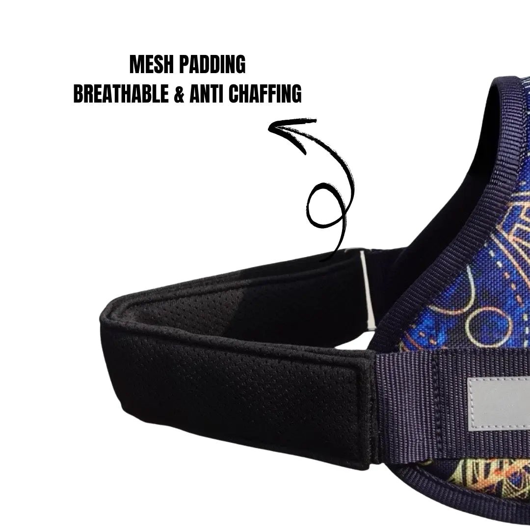 Coccopucci Comfsecure Dog Harness (Strange Wheel)