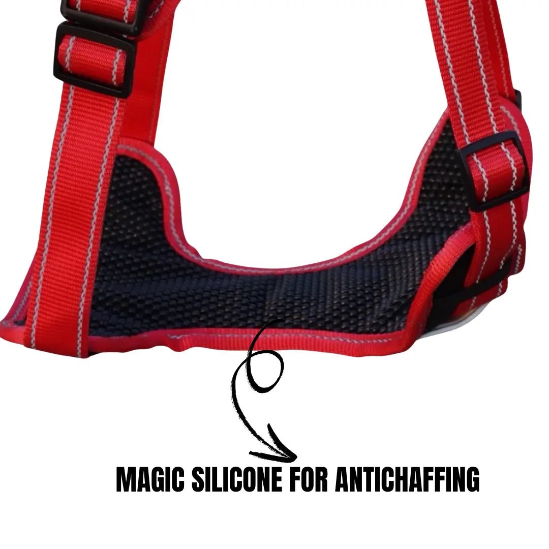 "Red and Black Magic Dog Harness – Secure, Adjustable, and Comfortable Fit , Providing Support and Ease of Movement