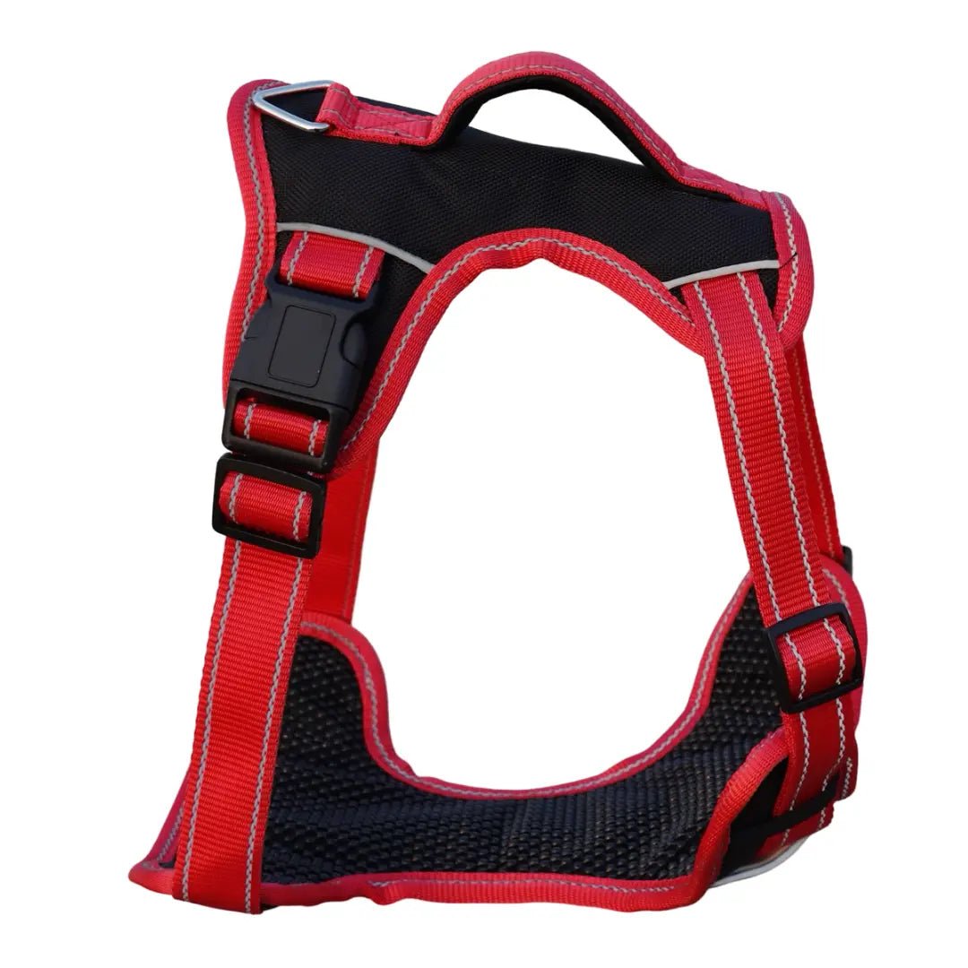 "Red and Black Magic Dog Harness – Secure, Adjustable, and Comfortable Fit , Providing Support and Ease of Movement