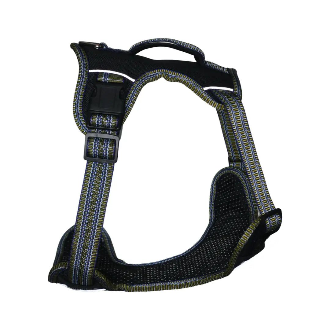 Coccopucci Signature Black Magic Dog Harness