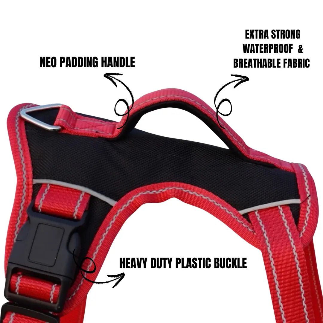 "Red and Black Magic Dog Harness – Secure, Adjustable, and Comfortable Fit , Providing Support and Ease of Movement