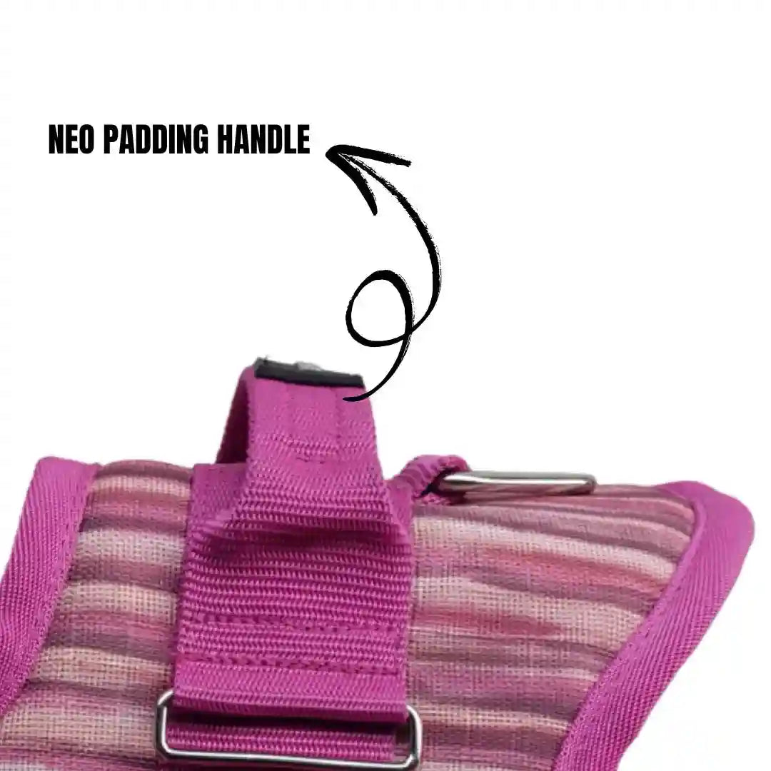 Coccopucci Comfsecure Dog Harness (Flamingo flair)