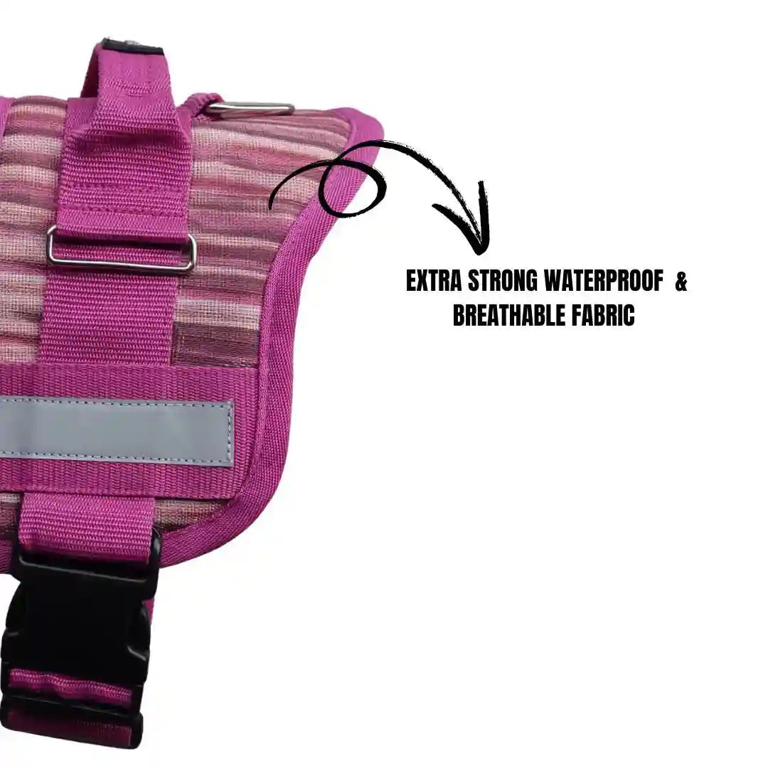 Coccopucci Comfsecure Dog Harness (Flamingo flair)