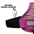 Load image into Gallery viewer, Coccopucci Comfsecure Dog Harness (Flamingo flair)
