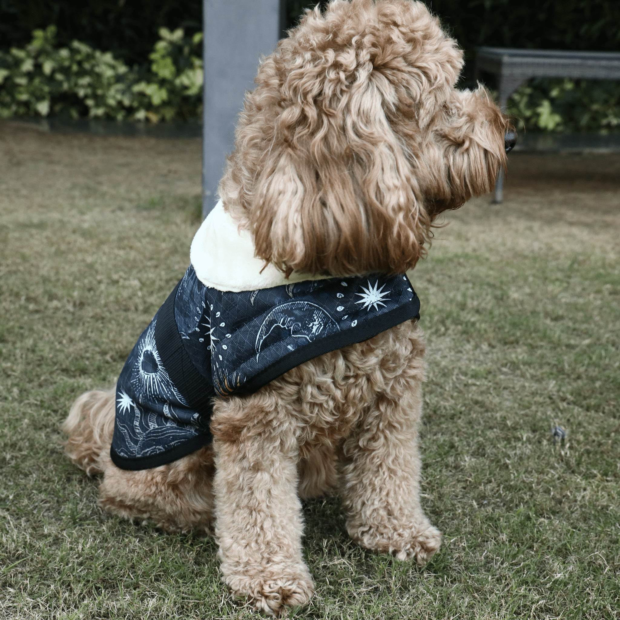Coccopucci Cosmic Print Dog Jacket - COCCOPUCCI