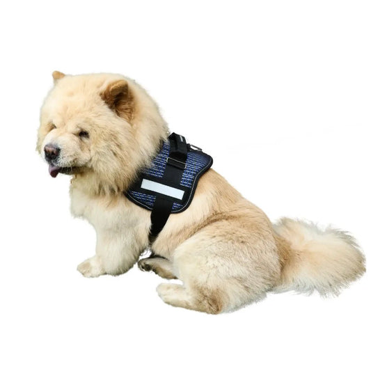 Coccopucci Comfsecure Dog Harness (Fragmented Flow)