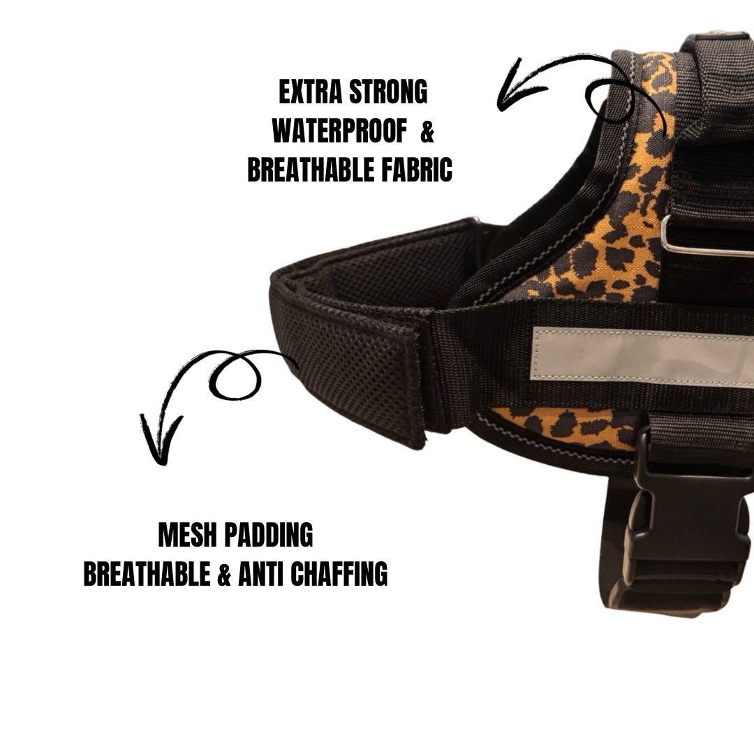 Coccopucci Comfsecure Dog Harness (Savannah Spots)