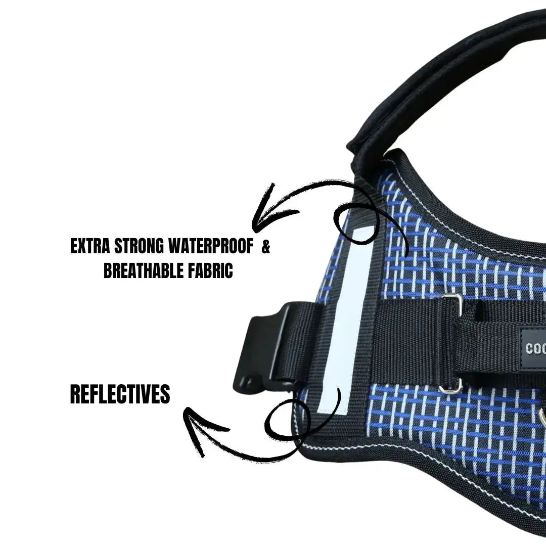 Coccopucci Comfsecure Dog Harness (Fragmented Flow)