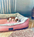 Load image into Gallery viewer, Coccopucci Blush Pink Corduroy Orthopedic Dog Bed
