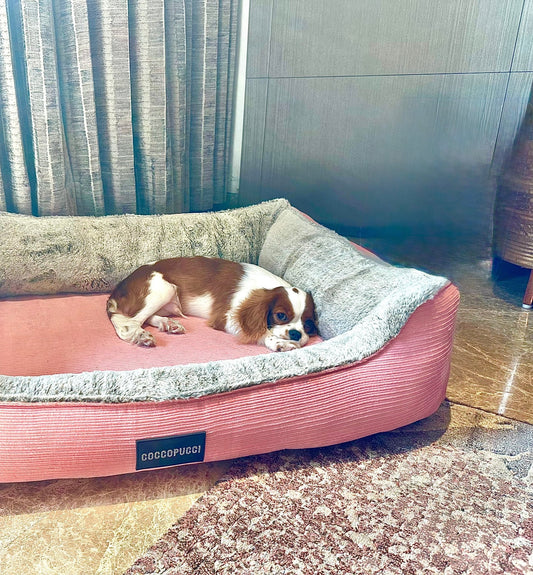 Coccopucci Blush Pink Corduroy Orthopedic Dog Bed