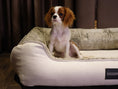 Load image into Gallery viewer, Coccopucci Pearl white Orthopedic Dog Bed
