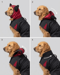 Load image into Gallery viewer, Coccopucci Tempesta  3 In 1 (Raincot+Harness+Jacket)

