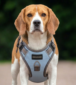 Coccopucci Signature Dog Harness ( Black Magic )