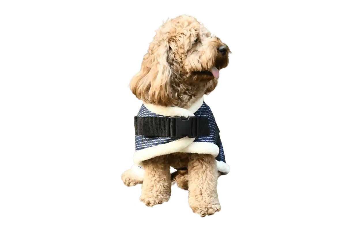 Coccopucci Hybrid Jacket Harness Blue (Fragmentedflow) - COCCOPUCCI