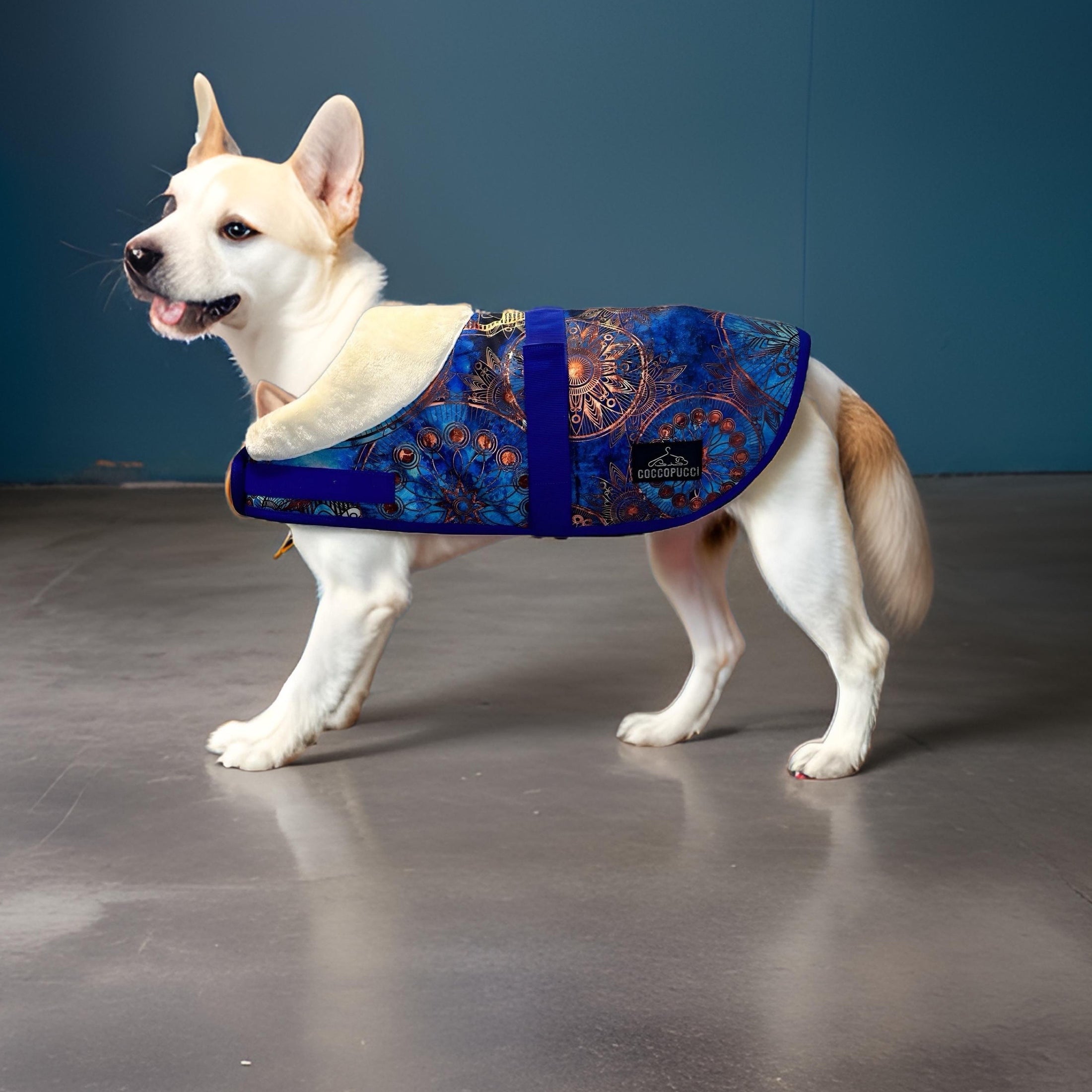 Coccopucci Floral Wheel Dog Jacket