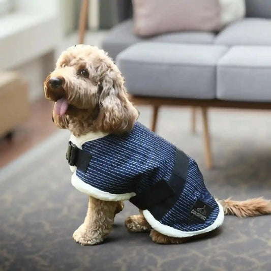 Coccopucci Hybrid Jacket Harness Blue (Fragmentedflow)