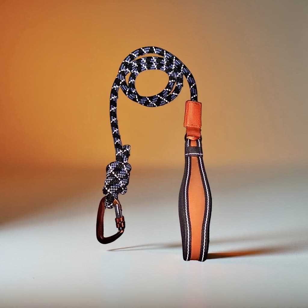 Dog Leash