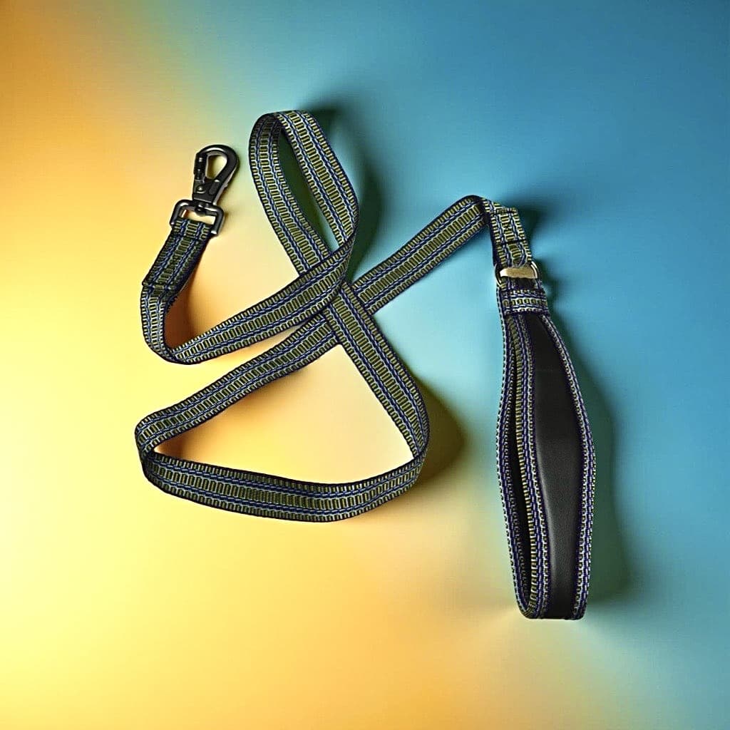 Dog Collars & Leashes