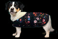 Load image into Gallery viewer, Signature-check Dog Coat
