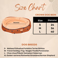 Load image into Gallery viewer, Coccopucci Brown Crown Dog Bed

