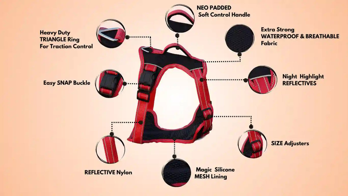 "Red and Black Magic Dog Harness – Secure, Adjustable, and Comfortable Fit , Providing Support and Ease of Movement