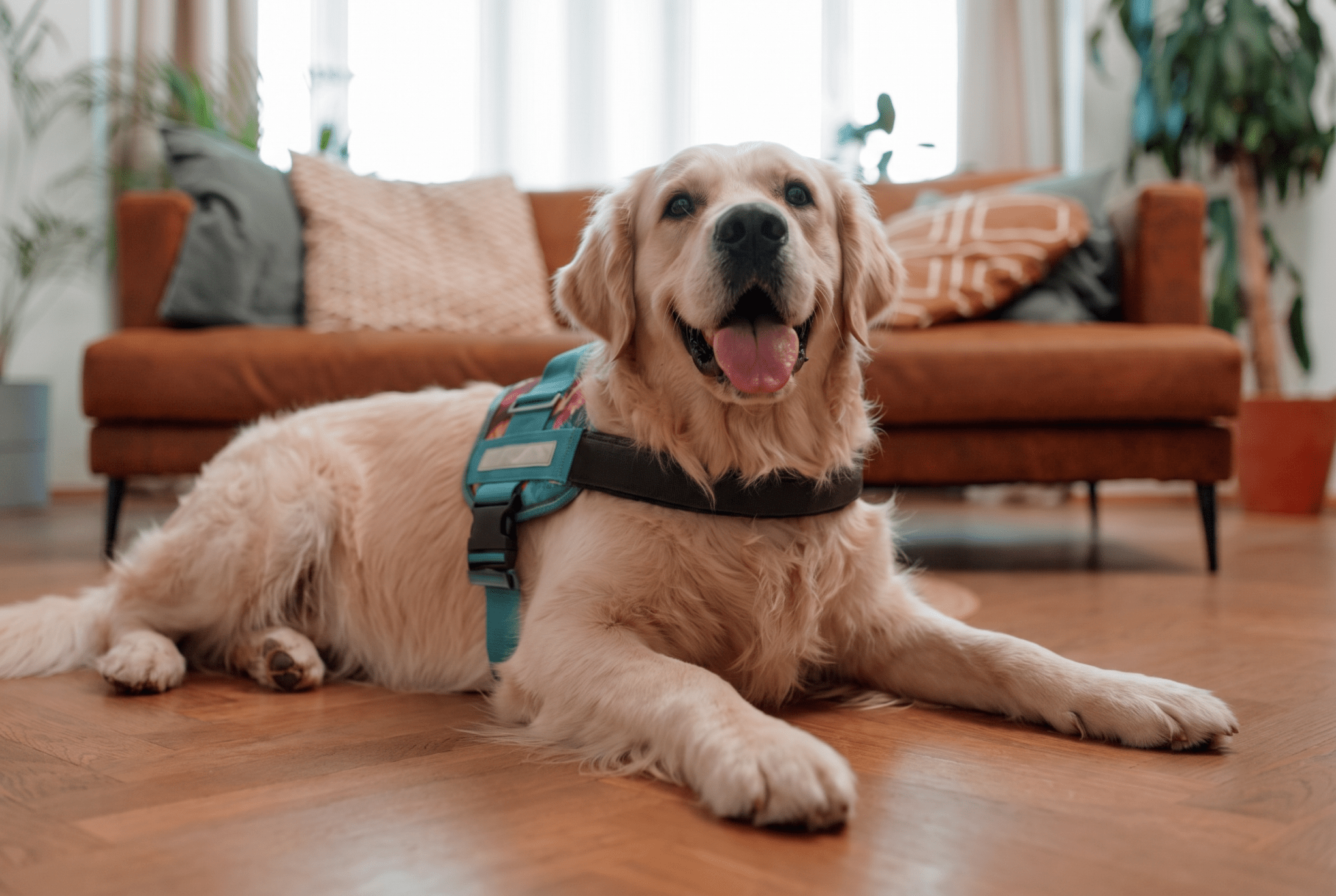 Coccopucci Comfsecure Dog Harness (Pink Leaf)