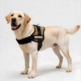 Load image into Gallery viewer, Coccopucci Comfsecure Dog Harness (Savannah Spots)
