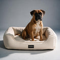 Load image into Gallery viewer, Coccopucci Moonstone Doppio Dog Bed

