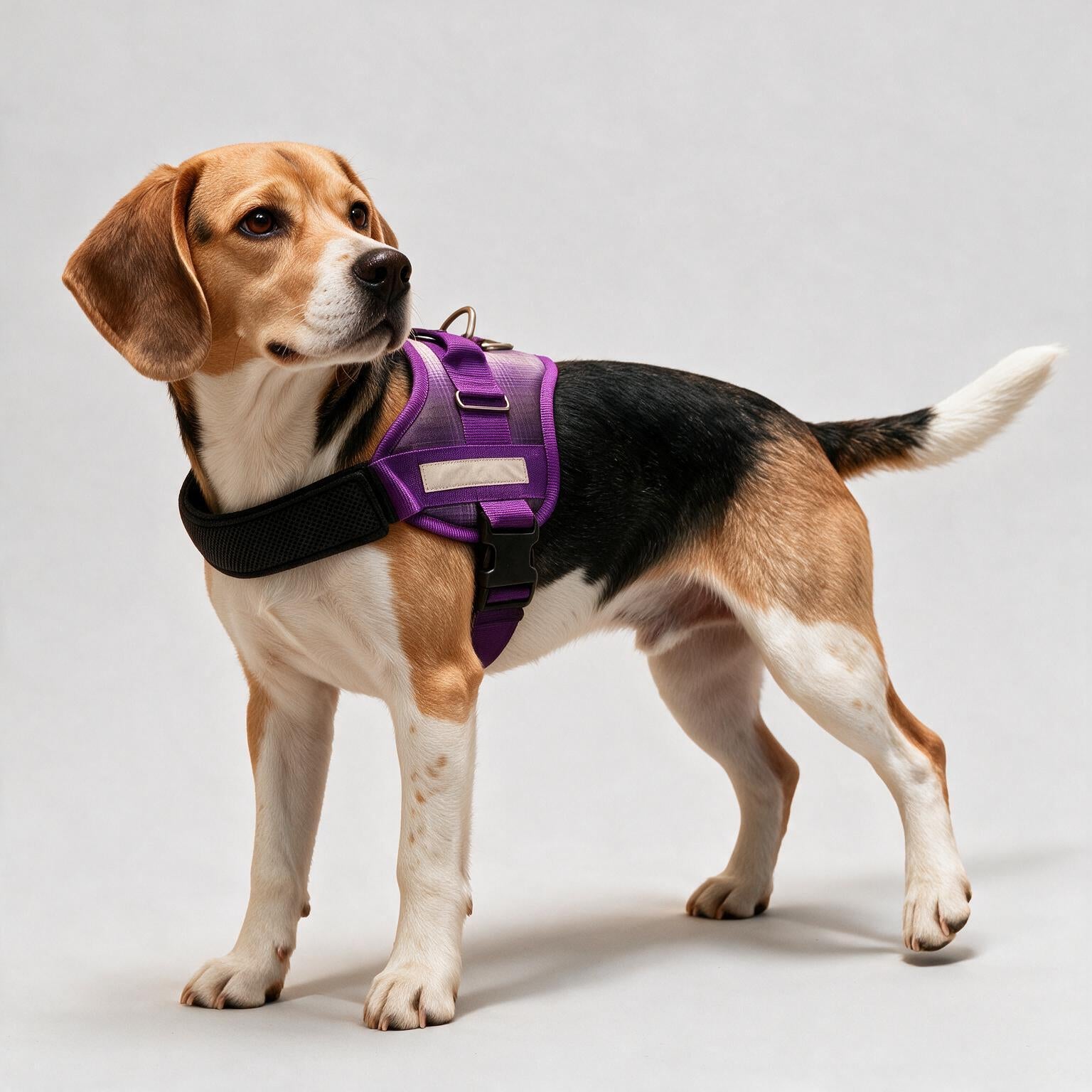 Coccopucci Comfsecure Dog Harness (Lilac Tartan)