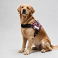 Load image into Gallery viewer, Coccopucci Comfsecure Dog Harness (Purple Floral)
