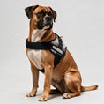 Load image into Gallery viewer, Coccopucci Comfsecure Dog Harness (Balmoral Tartan)

