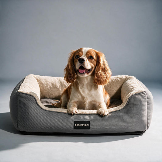 Coccopucci Grey Whisper Doppio Dog Bed