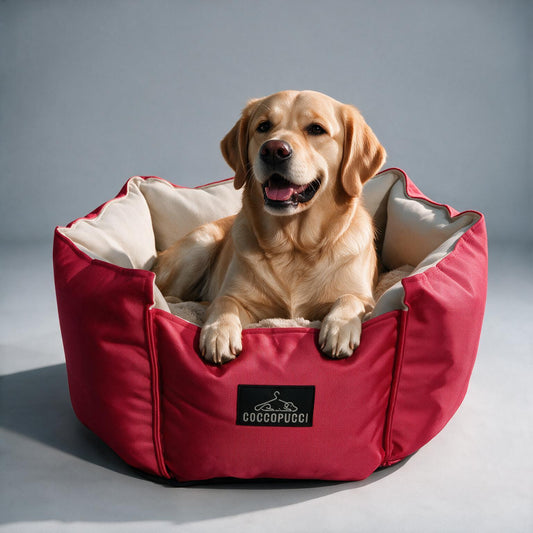 Coccopucci Hot Pink Crown Dog Bed