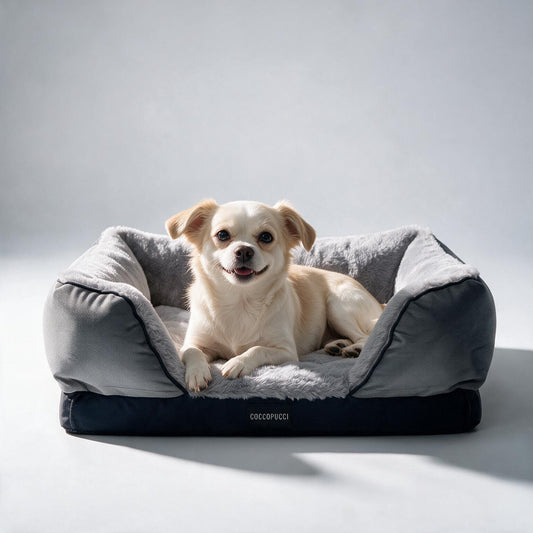 Coccopucci Gun metal Riposso Dog Bed