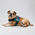 Load image into Gallery viewer, Coccopucci Comfsecure Dog Harness (Pink Leaf)
