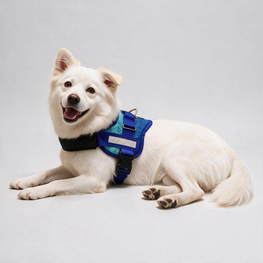 Coccopucci Comfsecure Dog Harness (Ocean Chevron)