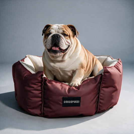 Coccopucci Red Crown Dog Bed