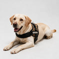 Load image into Gallery viewer, Coccopucci Comfsecure Dog Harness (Savannah Spots)
