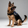 Load image into Gallery viewer, Coccopucci Comfsecure Dog Harness (Genova Denim)
