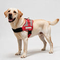Load image into Gallery viewer, Coccopucci Comfsecure Dog Harness (Milano Houndstooth)
