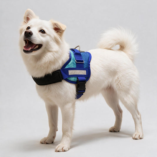 Coccopucci Comfsecure Dog Harness (Ocean Chevron)