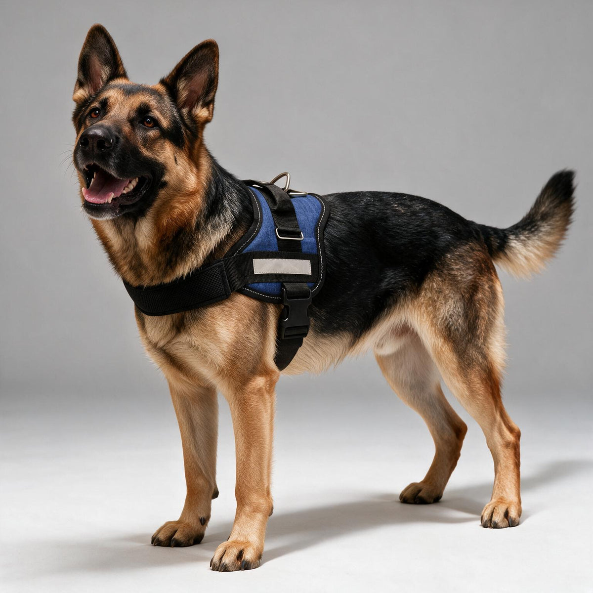 Coccopucci Comfsecure Dog Harness (Genova Denim)