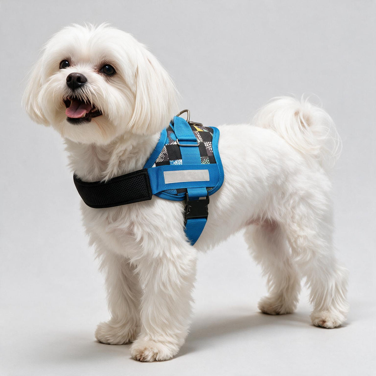 Coccopucci Comfsecure Dog Harness (Carnevale)