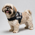 Load image into Gallery viewer, Coccopucci Comfsecure Dog Harness (Balmoral Tartan)

