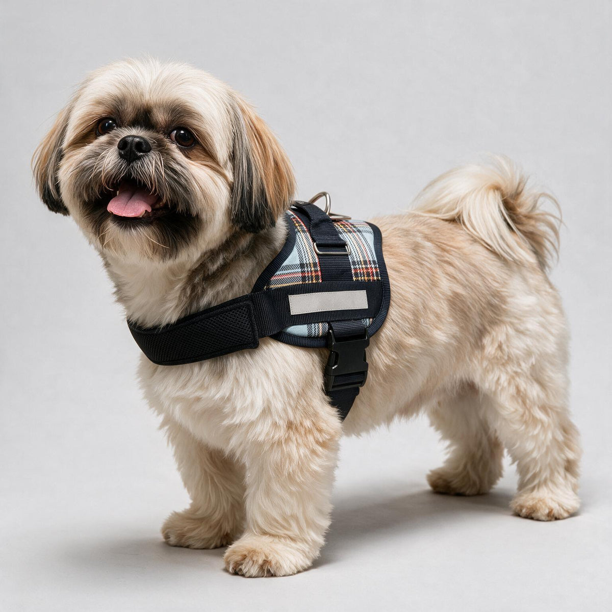 Coccopucci Comfsecure Dog Harness (Balmoral Tartan)