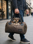 Load image into Gallery viewer, Coccopucci Viaggio Travel Bed
