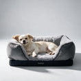 Load image into Gallery viewer, Coccopucci Gun metal Riposso Dog Bed
