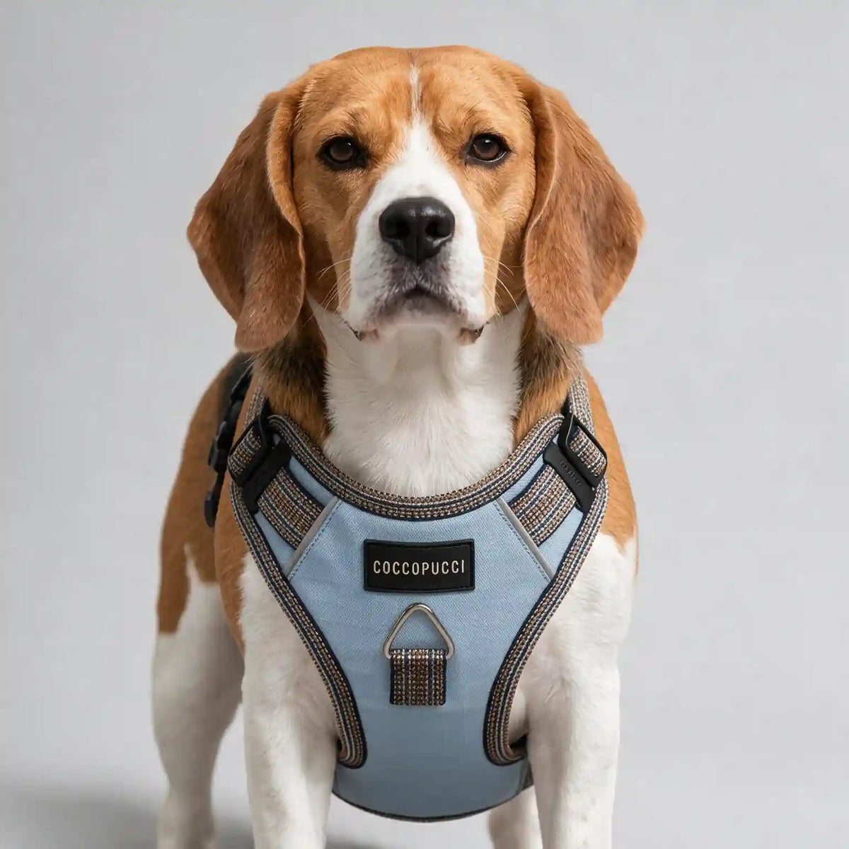 Coccopucci Signature Dog Harness ( With Fidlock Megnetic Buckle )