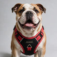 Load image into Gallery viewer, Coccopucci Magic Dog Harness 1680D (Black&Red)
